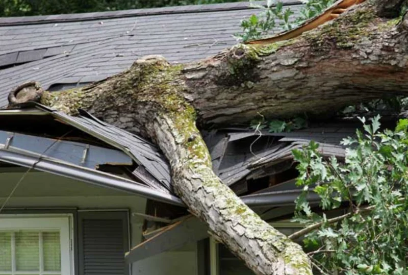 emergency roofing services malibu