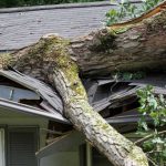 emergency-roofing-services-malibu